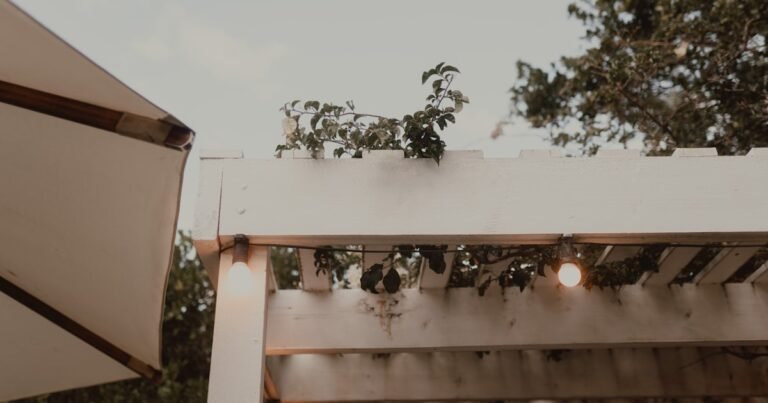 Backyard wedding ideas with a pergola strung with warm string lights and an outdoor umbrella