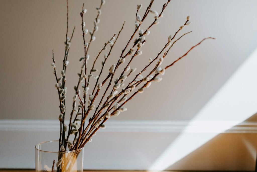 Vase holding bare branches on a table