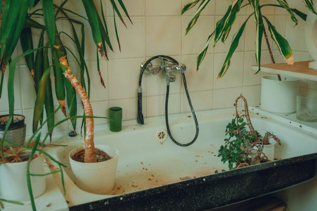 Plants surrounding a sink in a bathroom