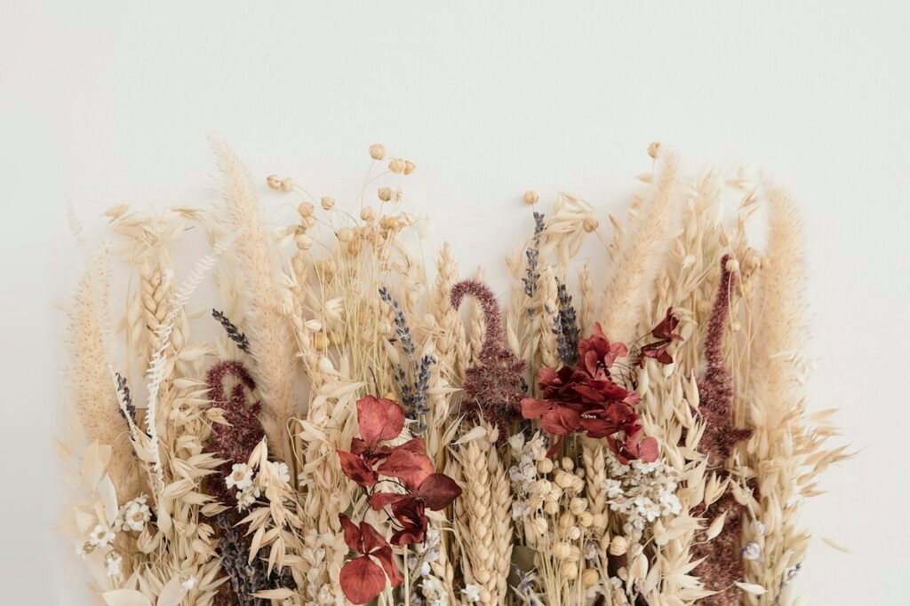 Dried brown fern