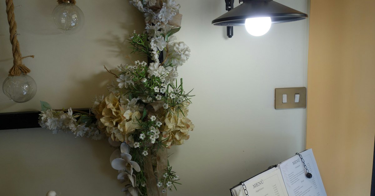 Dried botanicals on a wall under warm lighting