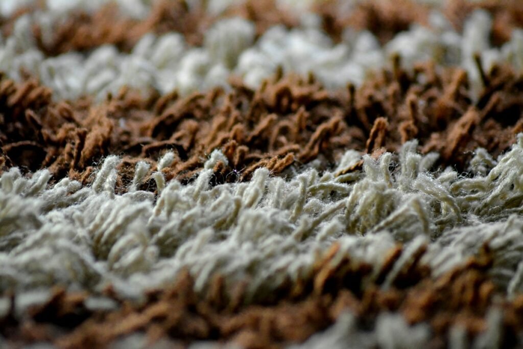 Brown and white area rug