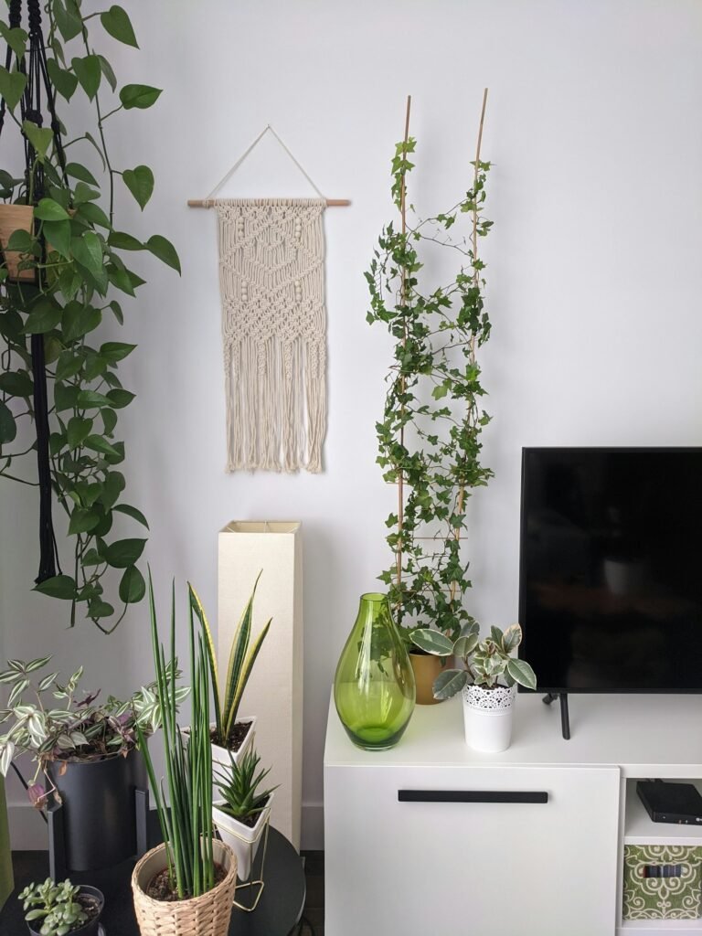 Macrame wall hanging, ivy on a bamboo trellis and a trailing pothos above a white TV unit in a small apartment