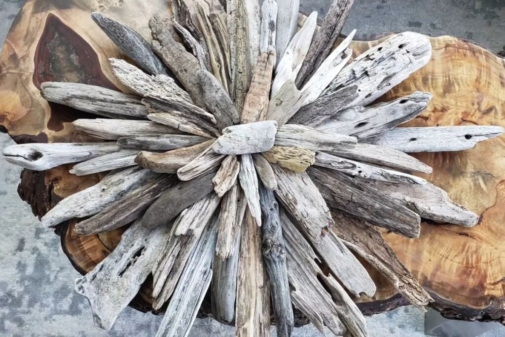 Light grey driftwood starburst resting on a polished wood slab
